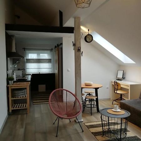 Studio Apartman Hana Apartment Dreznik Grad Ngoại thất bức ảnh