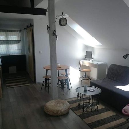 Studio Apartman Hana Apartment Dreznik Grad Ngoại thất bức ảnh