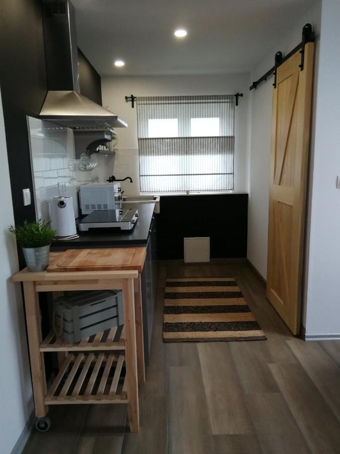 Studio Apartman Hana Apartment Dreznik Grad Ngoại thất bức ảnh