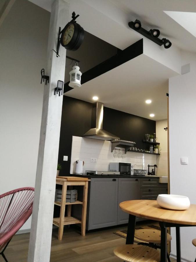 Studio Apartman Hana Apartment Dreznik Grad Ngoại thất bức ảnh