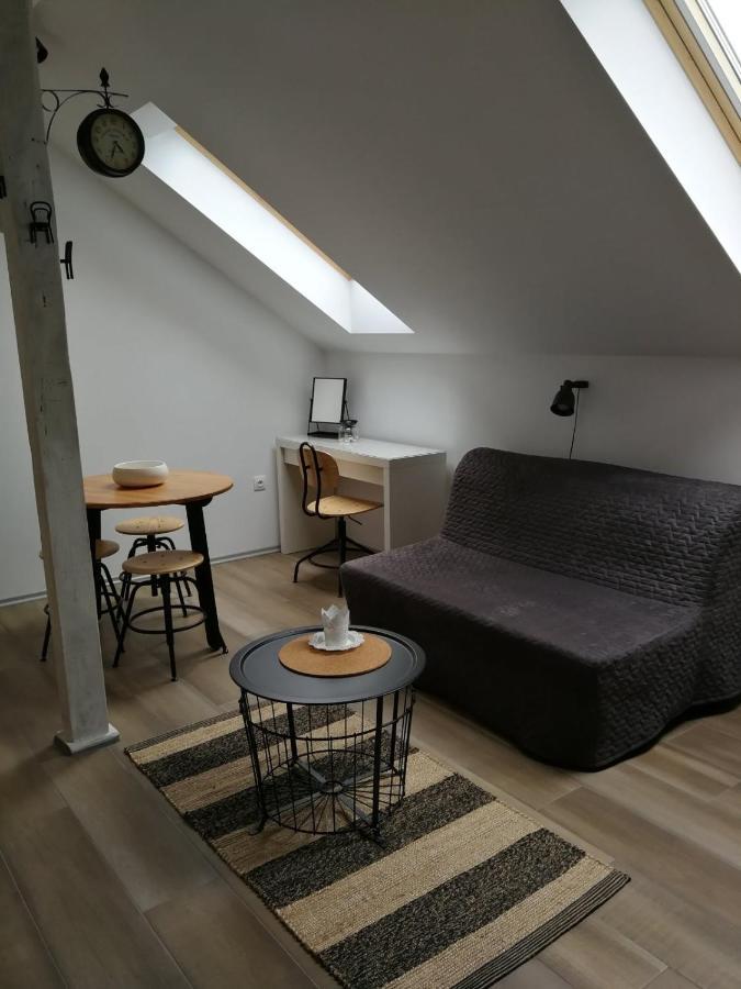 Studio Apartman Hana Apartment Dreznik Grad Ngoại thất bức ảnh