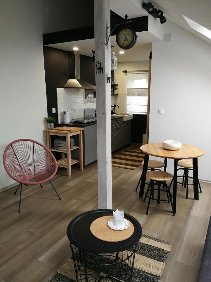 Studio Apartman Hana Apartment Dreznik Grad Ngoại thất bức ảnh
