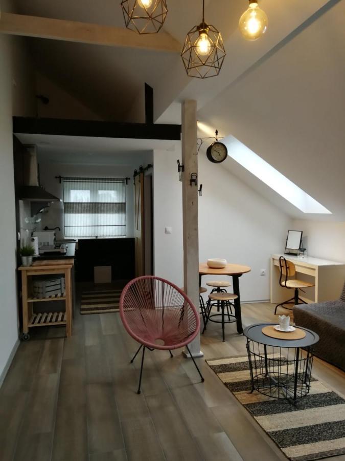 Studio Apartman Hana Apartment Dreznik Grad Ngoại thất bức ảnh