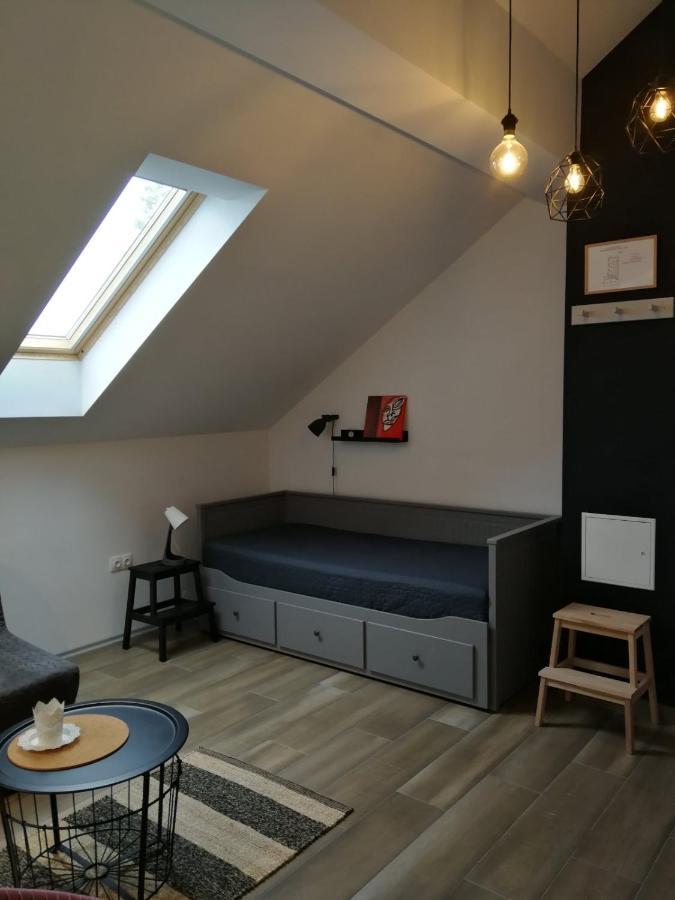 Studio Apartman Hana Apartment Dreznik Grad Ngoại thất bức ảnh