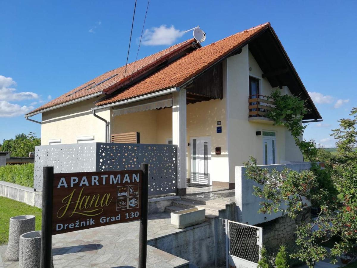 Studio Apartman Hana Apartment Dreznik Grad Ngoại thất bức ảnh