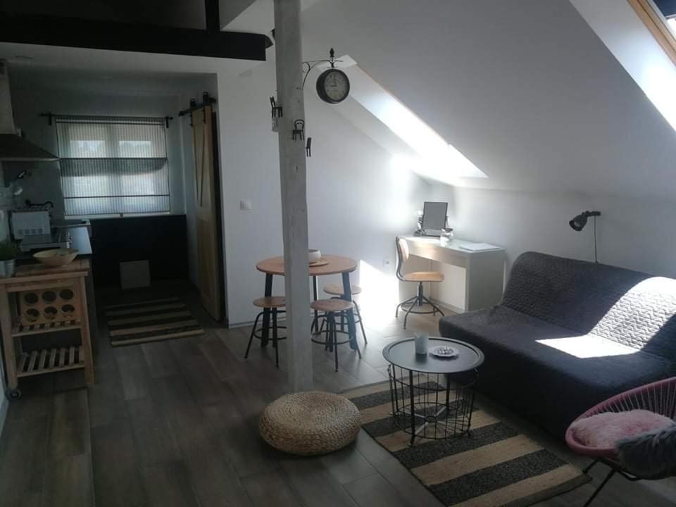 Studio Apartman Hana Apartment Dreznik Grad Ngoại thất bức ảnh